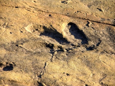 Subeng River Dinasour Footprint